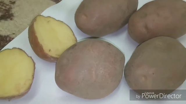 Секреты хорошего урожая картофеля в дождливое лето/Успех в выращивании!!! смотреть онлайн