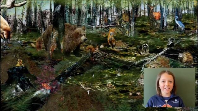 Dia Mundial Aigua смотреть онлайн