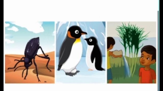 Әдебиеттік оқу 4 сынып 70 сабақ Тіршілік көзі еңбекте