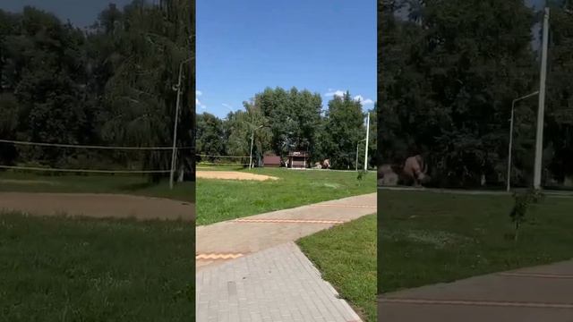 Городской пляж Задонска. Парк и река Дон смотреть онлайн