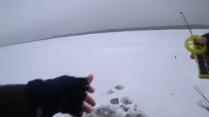 на силикон зимой. Окунь. Ушково. 10.01.24.