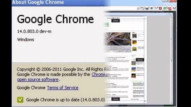 Free Download Google Chrome 44.0.2403.4 Dev смотреть онлайн