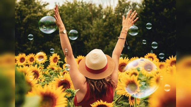 Музыка Регги для Веселья Души смотреть онлайн