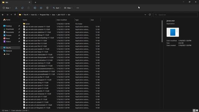 1.1.3 Path and ClassPath variables | Advanced Java Programming смотреть онлайн