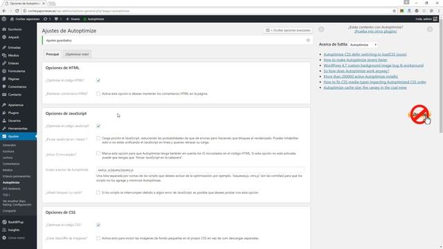 Configuración de Autoptimize para WordPress. смотреть онлайн