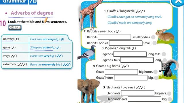 Adverbs of degree Grade 5 Excel KZ смотреть онлайн