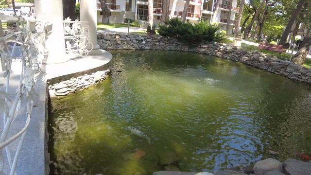 #ГЕЛЕНДЖИК🤲ПАНСИОНАТ ПРИМОРЬЕ 🔆#геленджик #дивноморское #черноеморе#отдыхуморя смотреть онлайн