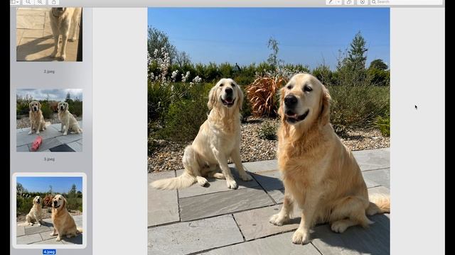 How To Get Better Photo Reference from Clients смотреть онлайн
