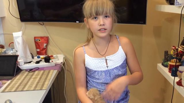 котенок Бося/ как определить пол котёнка!!???? смотреть онлайн