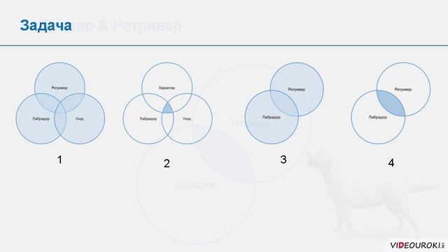 9 класс. 34. Всемирная паутина. Файловые архивы смотреть онлайн