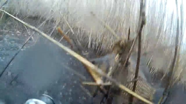 Подводная охота оз. Чаша, караси! смотреть онлайн