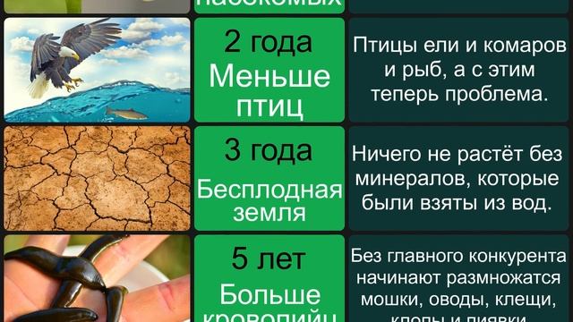 Что если КОМАРЫ исчезнут? смотреть онлайн