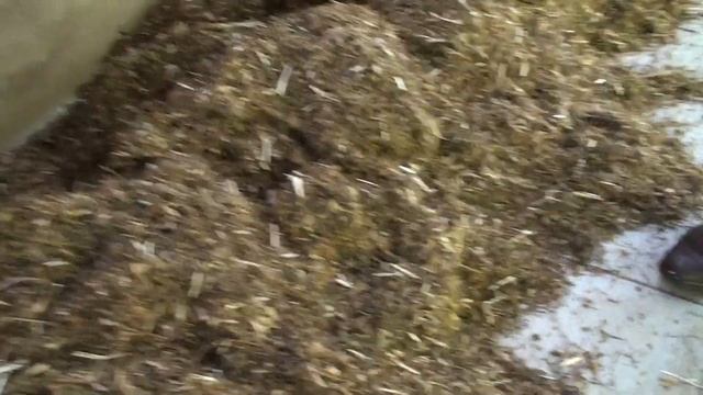 кормовая смесь на ферме в Германии от ООО СМАРТ 495 644 49 02 смотреть онлайн