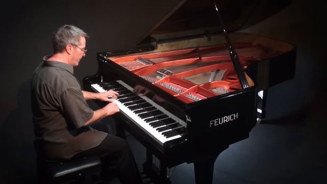 Flight of the Bumblebee (arr. Rachmaninoff) P. Barton, FEURICH piano смотреть онлайн