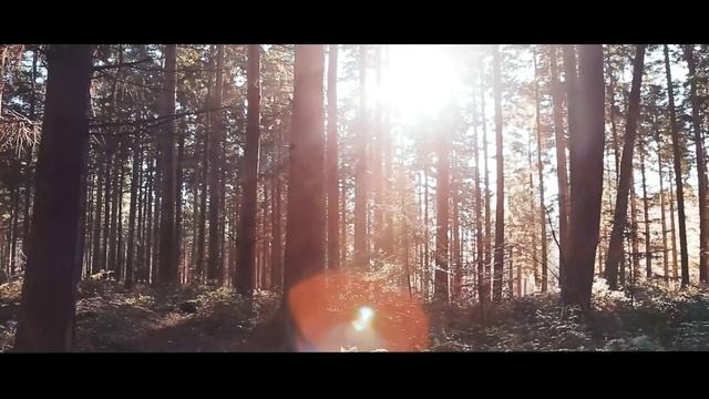 Курганская область смотреть онлайн