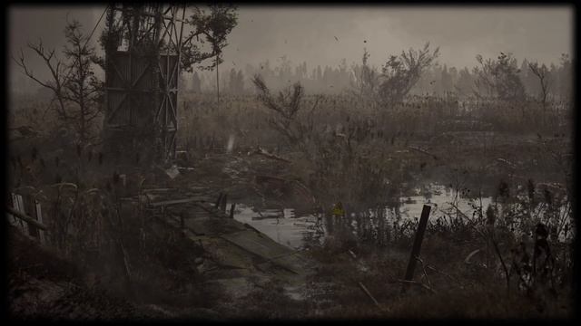 S.T.A.L.K.E.R. 2 - ИГРОКИ РАЗГАДАЛИ ТАЙНУ ИЗ ИГРЫ ! смотреть онлайн