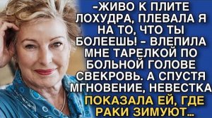 ЖИВО К ПЛИТЕ ЛОХУДРА, ПЛЕВАЛА Я НА ТО, ЧТО ТЫ БОЛЕЕШЬ! - ВЛЕПИЛА МНЕ ТАРЕЛКОЙ ПО ГОЛОВЕ СВЕКРОВЬ…