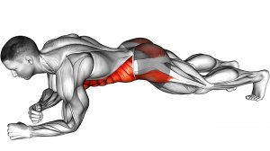 Я делаю Планку по 5 минут Каждый День в течение месяца