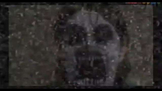 взлом канала карусель (2022 27 ноября) смотреть онлайн