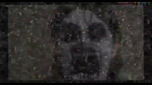 взлом канала карусель (2022 27 ноября)