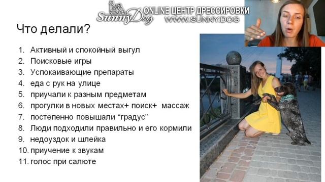 Собака боится всего? что делать? Собака боится - как решить проблему. Страх шумов. людей. города