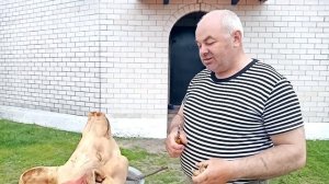 Свиные уши. Ем сырые свиные уши.Очень вкусно и полезно.