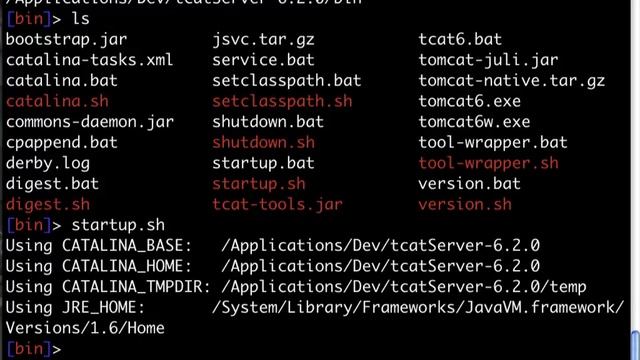 MuleSoft TCat/Tomcat Maven Archetypes смотреть онлайн