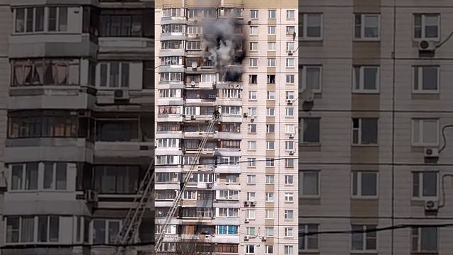 6 апреля 2017 г. смотреть онлайн