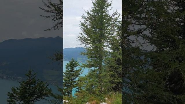 ?Mountain Schoberstein Lake Attersee in Upper Austria #shorts смотреть онлайн