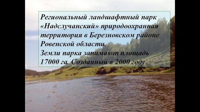 Сплав по реке Случь на 300 км. День 5-й. Надслучанская Швейцария! смотреть онлайн