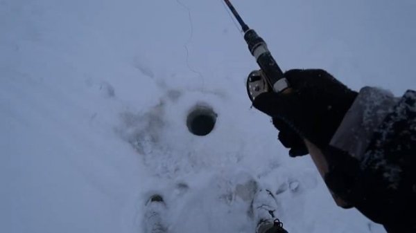 Оставили жерлицы на ночь! Первый лёд 2022-23. Рыбалка на жерлицы