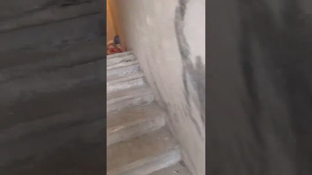 Квартира в Махачкале смотреть онлайн