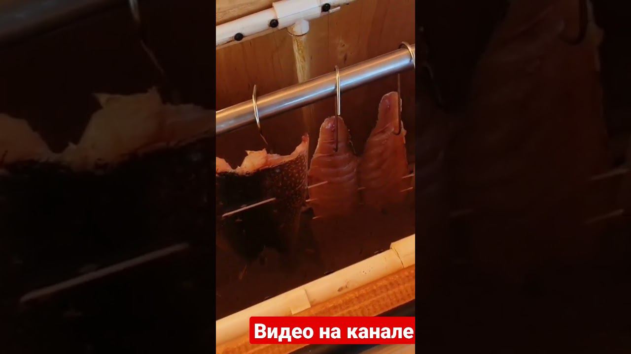 Юкола из щуки холодного копчения за 20 минут смотреть онлайн