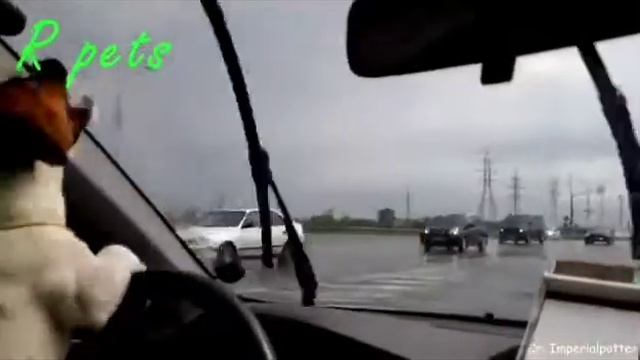 Сергей Минаев' 84 Алушта  N° 1