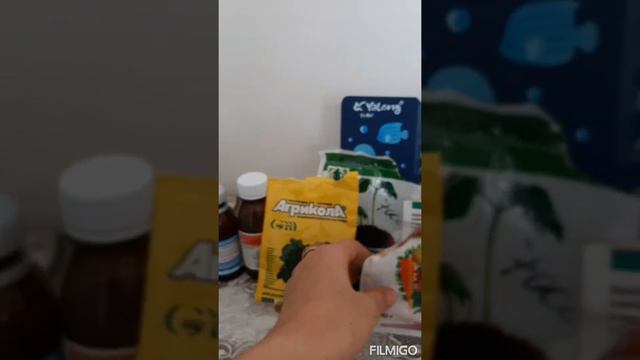 Гулларга керакли озукалар. 1-кисм смотреть онлайн