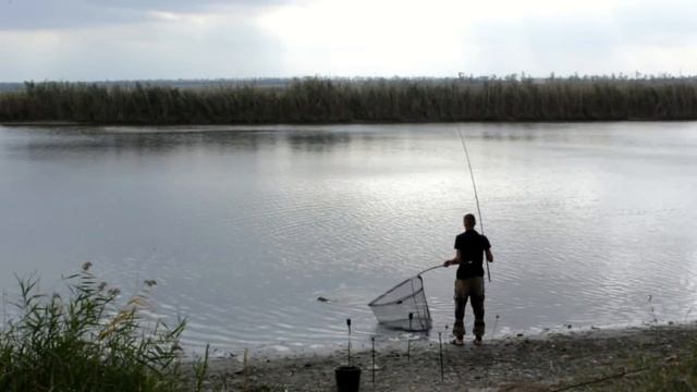 Ловля карпа Осенью! Рыбалка Тут Клюет! смотреть онлайн