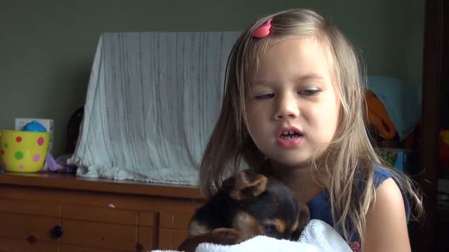 Купили ребёнку маленького щеночка. смотреть онлайн