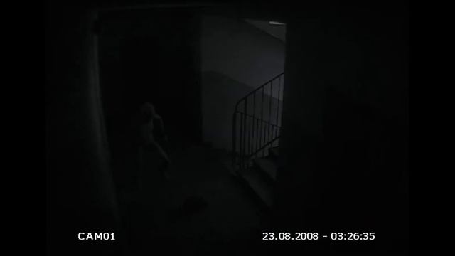неопознаное существо в подъездах Питера!