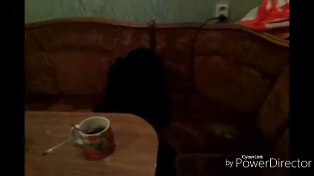 Пьем чай ночью