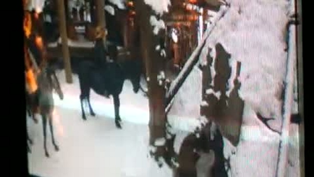 Участникам событий посвящается. смотреть онлайн