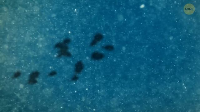 Вода на Марсе есть, но можно ли ее пить? смотреть онлайн