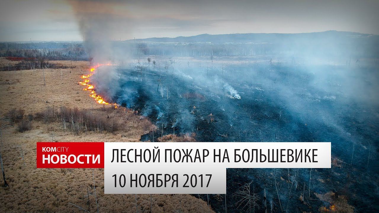 Komcity Новости — Лесной пожар на Большевике, 10 ноя 2017 смотреть онлайн