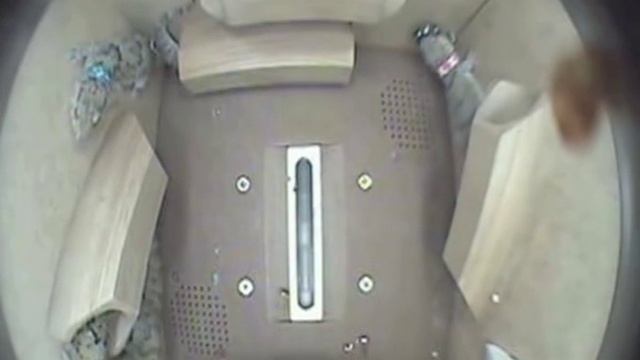 Space geckos play in zero gravity смотреть онлайн