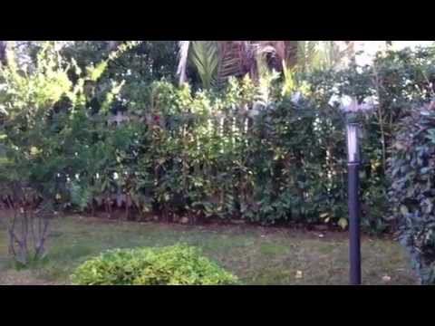 Купить Бордигера квартиры в Лигурии, Италии у моря