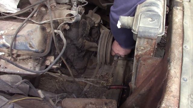 CRITTER INFESTED FORD BIG BLOCK! Will the 390FE in this '65 Ford Galaxie LTD run after 30 years? смотреть онлайн