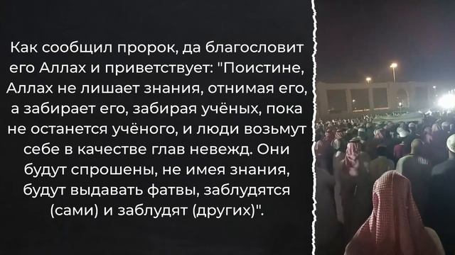 О смерти шейха 'Абдур-Рахмана ибн Салиха Мухйиддина / Шейх Салих ас-Сухейми смотреть онлайн