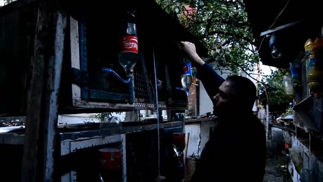 самые дешовые клетки для кроликов своими руками из старых окон и забора смотреть онлайн