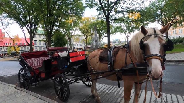 Old Quebec City | Quebec City Downtown |  CANADA | Beautiful Old Quebec Tour  | 4K