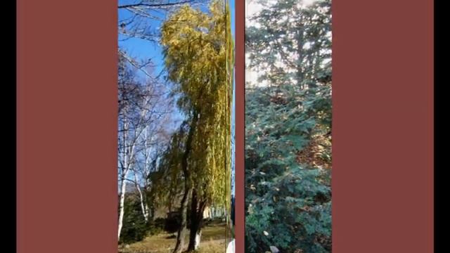 Горчинка Осени - Елена Долгих смотреть онлайн
