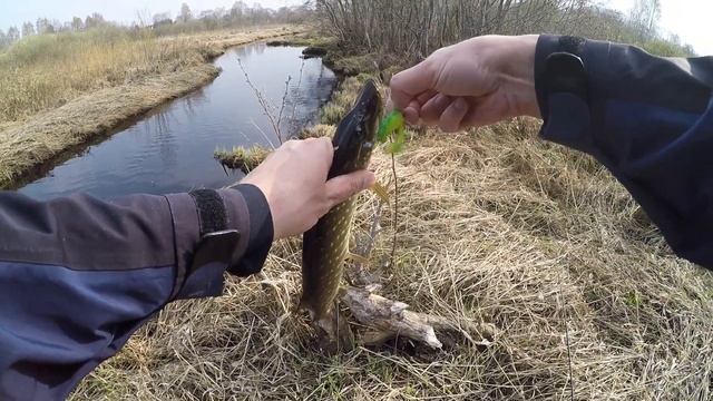 Микроречка в Тверской области. Щука смотреть онлайн